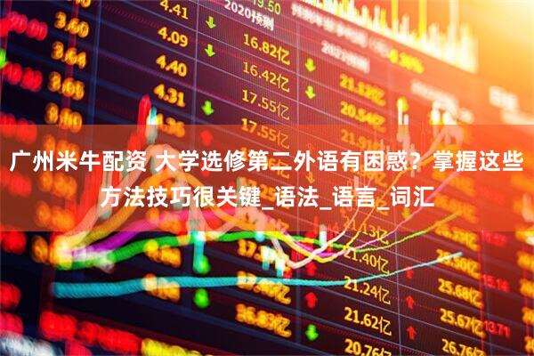 广州米牛配资 大学选修第二外语有困惑？掌握这些方法技巧很关键_语法_语言_词汇