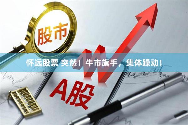 怀远股票 突然！牛市旗手，集体躁动！