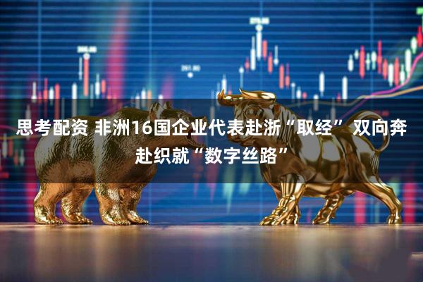思考配资 非洲16国企业代表赴浙“取经” 双向奔赴织就“数字丝路”