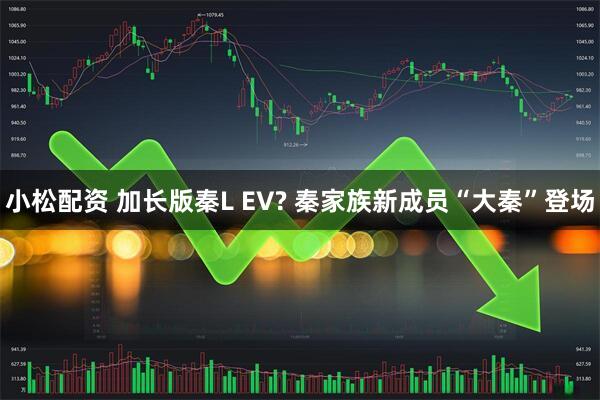 小松配资 加长版秦L EV? 秦家族新成员“大秦”登场