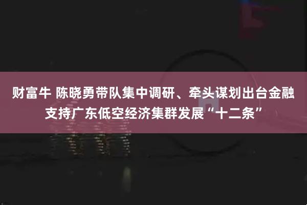 财富牛 陈晓勇带队集中调研、牵头谋划出台金融支持广东低空经济集群发展“十二条”
